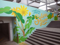 Walls that bloom with joy Walls that bloom with joy