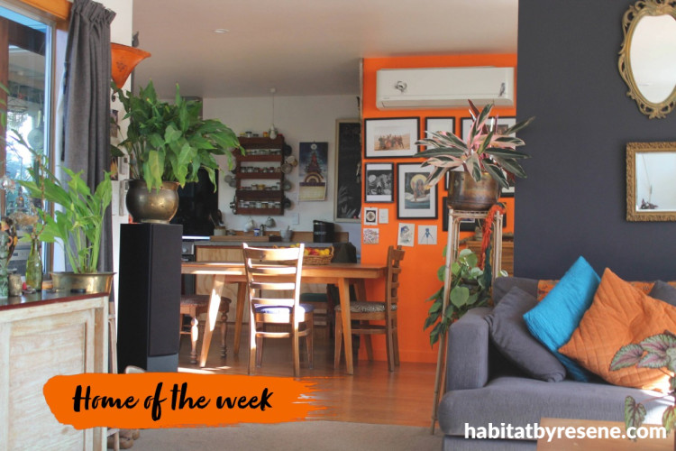 Living and dining area featuring bold orange and inky blue colours